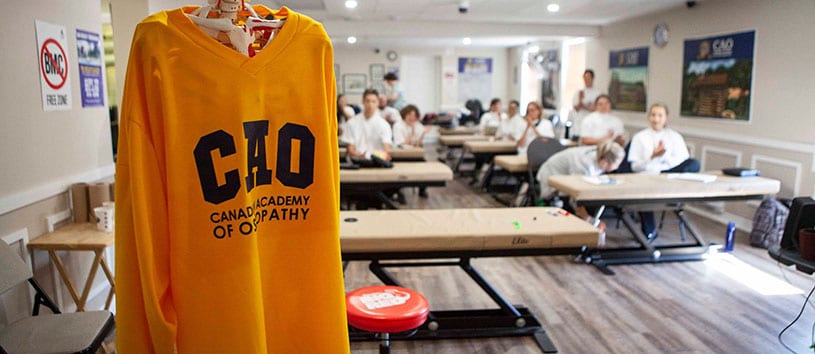 Classroom skeleton wearing CAO branded sweater with students in classroom background